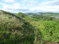 Trusty's Hillfort